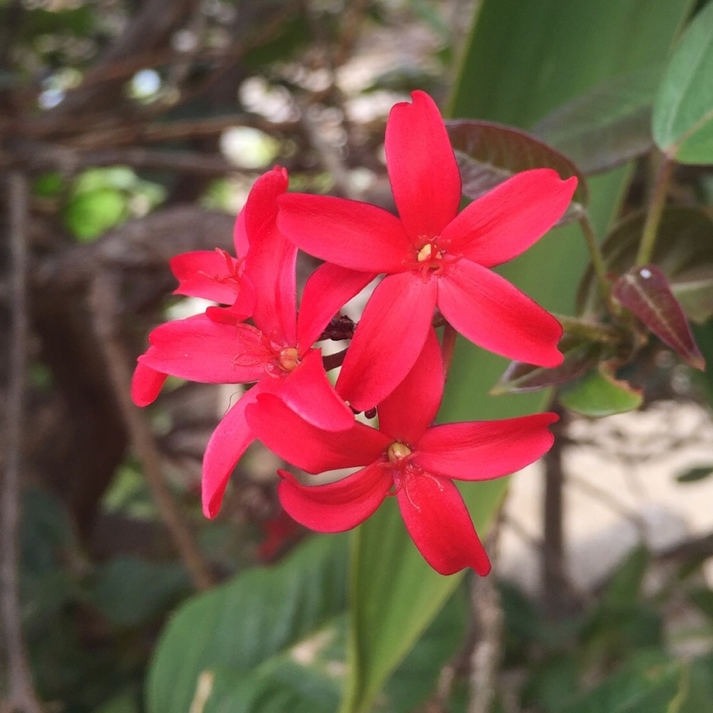 Meet your Posher, Lena